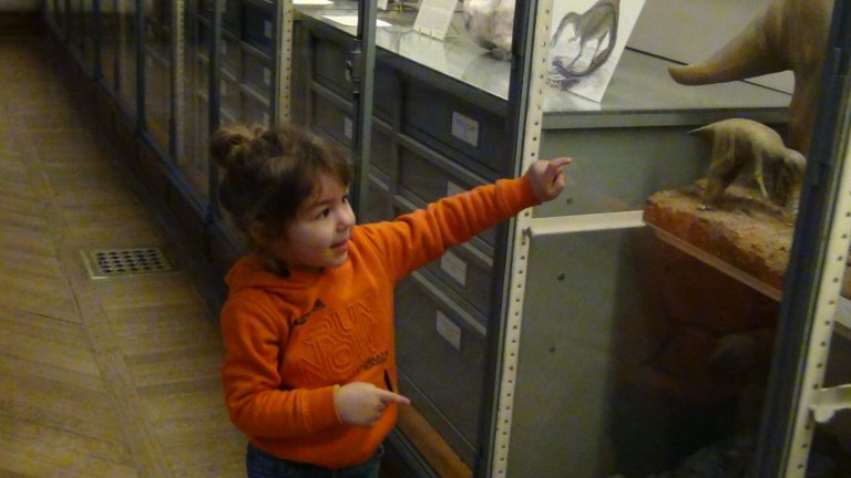 une sortie scolaire dans un musée organisée ppour les enfants à l'ecole HPI ENDENLYSIA Limoges